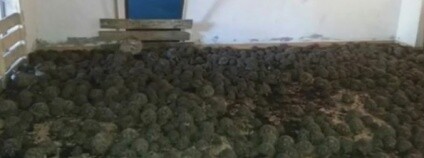 foto: Breaking News Today / youtube.com