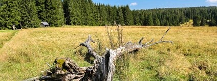 Foto: Národní park Šumava