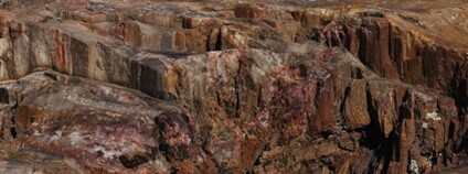 Zkamenělé stromy na ostrově Lesbos Foto: Andrew Flickr