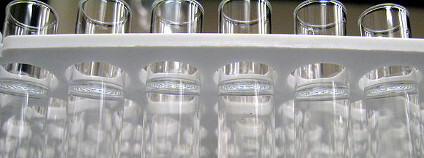 foto: proteinbiochemist / Flickr.com