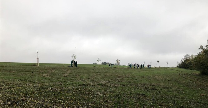 Podle místostarosty Jakuba Malačka je místo vhodné pro procházky. Lidé si ještě po cestě budou moci utrhnout čerstvé ovoce.