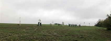 Třešňová alej ve Znojmě Foto: znojmocity.cz