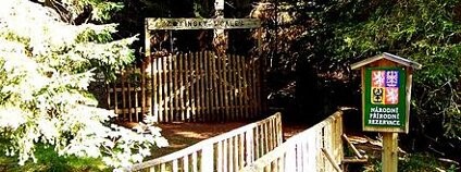 foto: Zdeněk Kubeš / Wikimedia Common