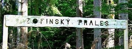 foto:  Zdeněk Kubeš / Wikimedia Commons