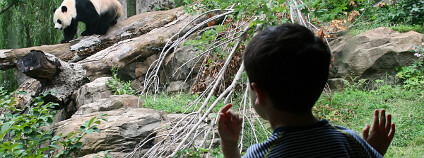 Foto: woodleywonderwork / Flickr
