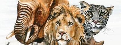 Sada známek Foto: Zoo Dvůr králové