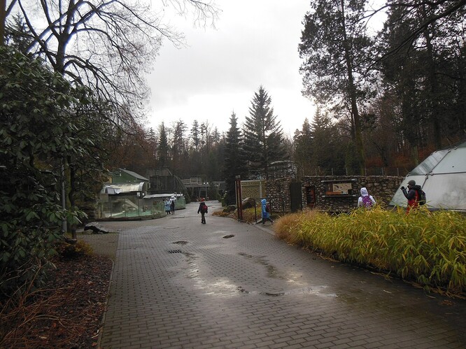 S deštěm už to není co bývalo.