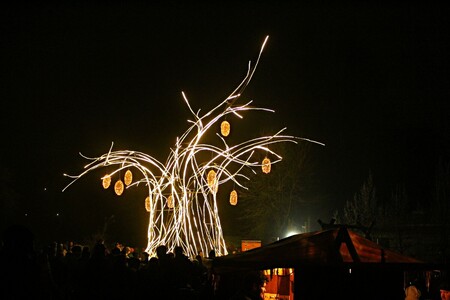 Přes pět metrů vysoký model baobabu naproti Restaurantu Lemur se v zoo poprvé rozsvítil na první den vánočních trhů