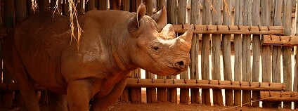 Jiří Hrubý Foto: Zoo Dvůr Králové
