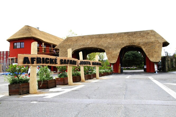 V africkém safari o rozloze asi 30 hektarů lidé projíždějí mezi desítkami volně žijících zvířat.