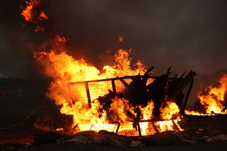 Na konci května bylo v Keni spáleno rekordní množství slonoviny. Nikdo však neví, jaké to má reálné dopady na ochranu slonů či černý trh se slonovinou.