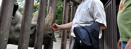 Foto: International Fund for Animal Welfare Animal Rescue Blog / Flickr