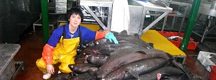 Foto: Paul Clerkin / Moss Landing Marine Laboratories