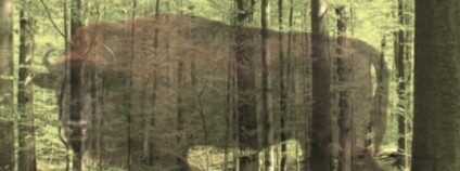 foto: Národní zemědělské muzeum