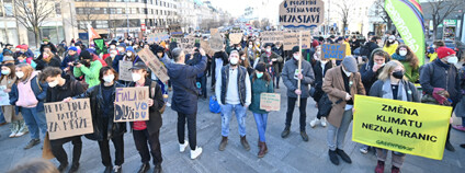 Foto: Petr Zewlakk Vrabec / Greenpeace