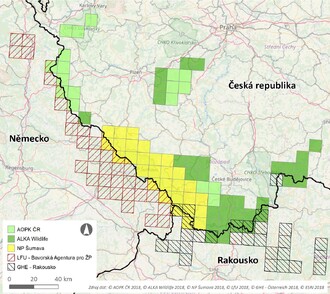 Společná česko-bavorsko-rakouská síť určená k monitoringu výskytu rysa ostrovida v rámci projektu 3Lynx. Monitorovací čtverce jsou rozděleny mezi tyto partnery