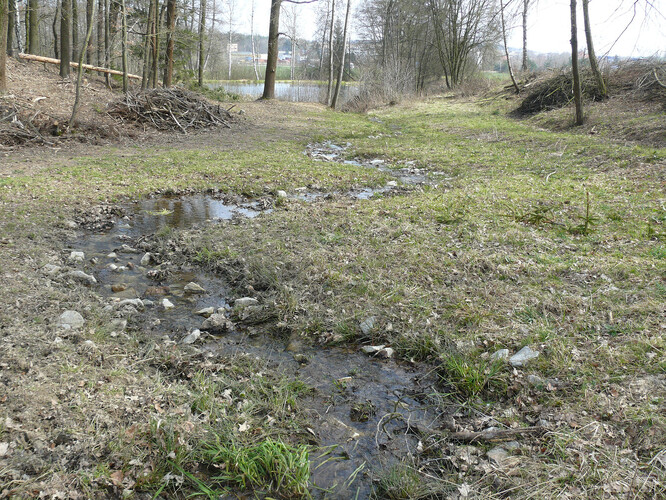 Lokalitou protéká "Stříbrný" potok. Nyní má na většině trasy přírodě blízké koryto, do roku 2017 byl na prvních cca 300 m zatrubněný.