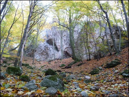 Nejdivočejší malokarpatské doliny vznikly zřejmě zřícením stropů obrovské soustavy jeskyní.