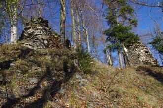 Zřícenina hradu Puchart.