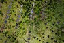 Revitalizace rašeliniště v Krušných horách