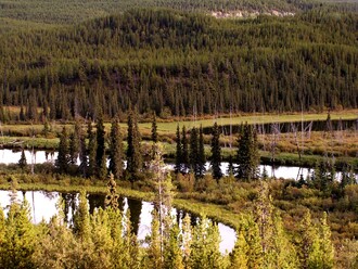 Typická říční krajina podél pannenské řeky v Kanadě.