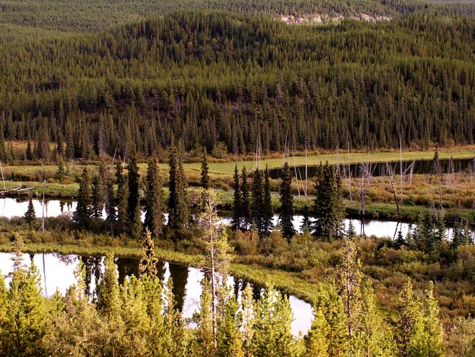 Typická říční krajina podél panenské řeky v Kanadě