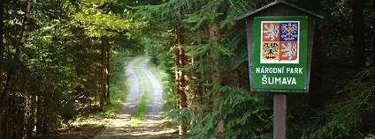 Hranice národního parku Šumava Foto: Aktron commons.wikimedia.org Hranice národního parku Šumava Foto: Aktron commons.wikimedia.org