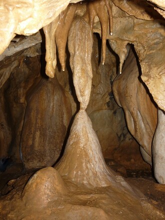 Stalaktity a stalagmity srůstají během svého vývoje do podoby atalagnátů (Hubekova jeskyně).