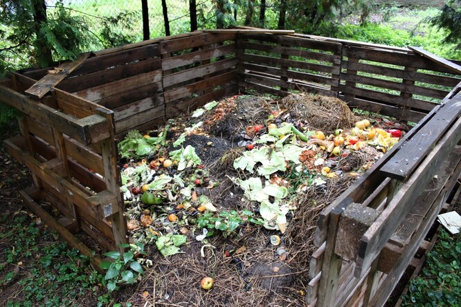 Do kompostu je z hlediska fosforu dobré dávat popel z kamen, skořápky vajec, kosti.