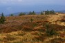 Vrchol Keprníku v nadmořské výšce 1423 metrů je typický svými mrazovými sruby. Vede tudy rozvodí mezi Baltským a Černým mořem. Pod skalní vyhlídkou se rozprostírají hole neboli horské louky