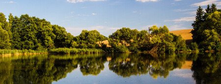 Vedení Zličína zvažuje, že by se rybník stal koupalištěm s přírodním čištěním vody. Ilustrační foto.