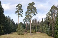 Arboretum Řícmanice 