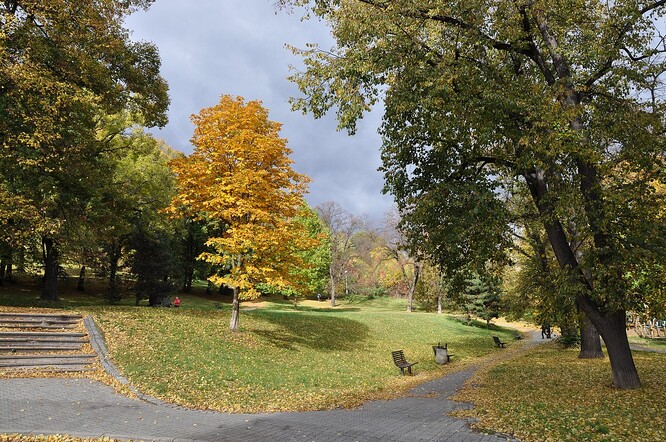 Speciální kolekce je ekologická a pochází od lokálních výrobců. Speciální kolekce je ekologická a pochází od lokálních výrobců.