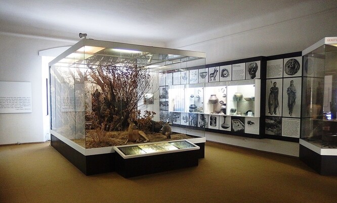Podle krajské radní Zuzany Fišerové je výstava unikátní tím, že zvolené téma zobrazuje v souvislostech archeologických i přírodovědných, vhodně propojuje archeologii s přírodními vědami.