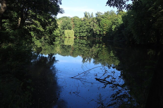 Celkový pohled na rybník Sýkorka v pražské Krči.