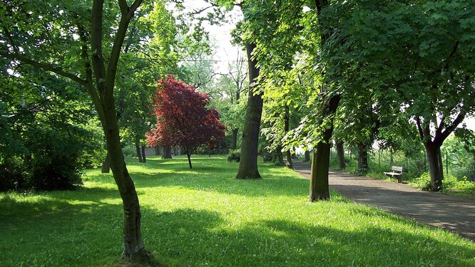 Park Na Polabí začal vznikat na konci 19. století, dokončen byl v roce 1910. Zabírá zhruba čtyři hektary. Prochází jím promenádní cesta, ze které je možné vidět i soutok Labe s Vltavou.
