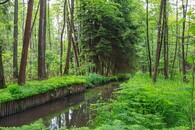 Vodní kanál Alba v PP  Týnišťské Poorličí