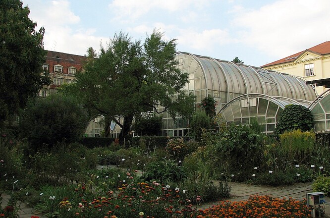 Botanická zahrada Přírodovědecké fakulty Masarykovy univerzity.