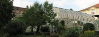 Botanická zahrada Přírodovědecké fakulty Masarykovy univerzity v Brně- skleníky