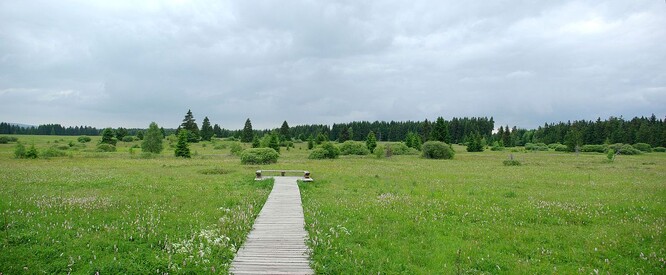 Stezka u Upolínové louky se nachází v centrální části Chráněné krajinné oblasti Slavkovský les.