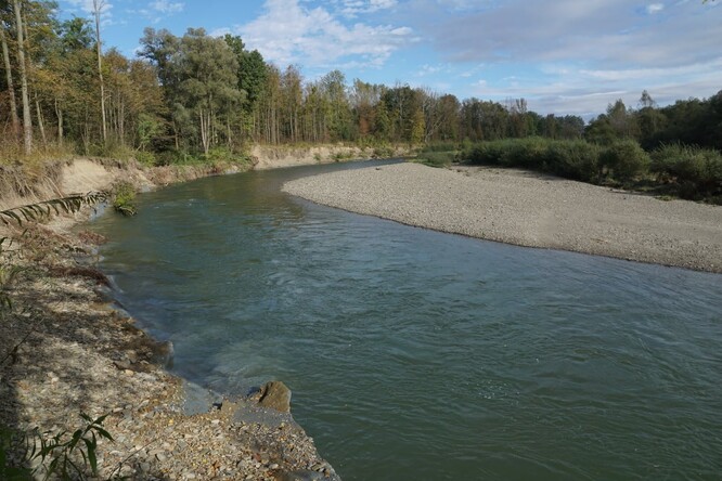 Vytrávená řeka Bečva.