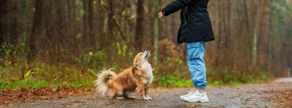 Foto: Michał Robak / Pexels Foto: Michał Robak / Pexels