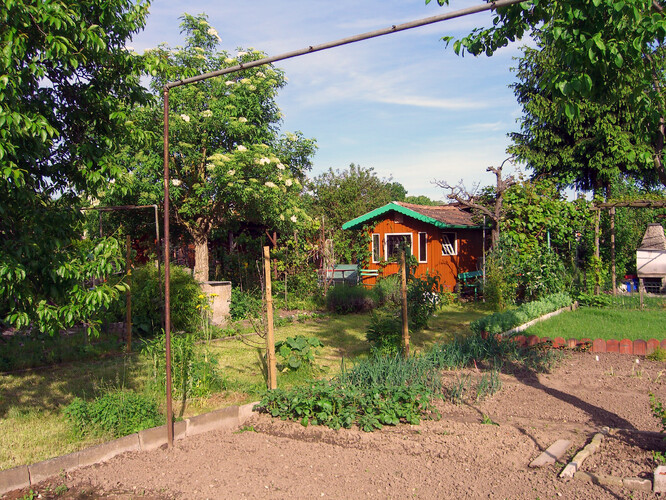 Záhony na pěstování i na okrasu, chatka na zázemí, plot oddělující jednotlivé zahrádky. Klasické zahrádka v osadě.
