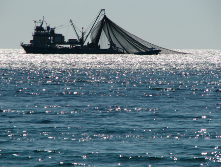 V polovině letošního ledna Evropský parlament znovu zasáhl do regulačních opatření, platných pro evropské rybáře.