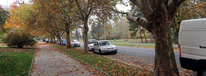 Foto: Společnost pro zahradní a krajinářskou tvorbu Foto: Společnost pro zahradní a krajinářskou tvorbu