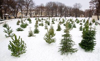 Koncept lesa Druhé šance, symbolického navrácení "použitých" vánočních stromků do původního lesního společenstva, vznikl v roce 2010 v Praze.