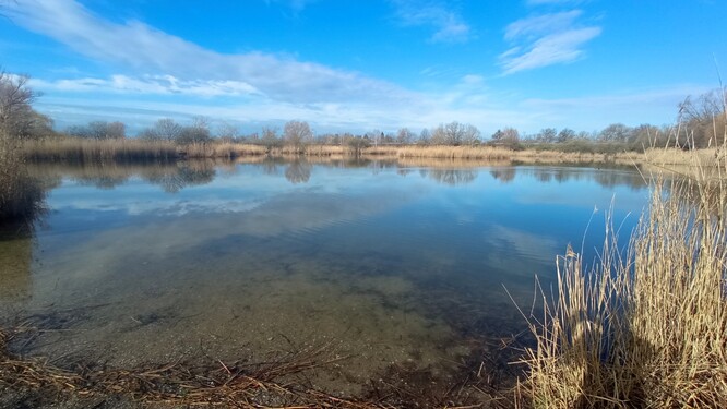 Celkový pohled na Bohdanecký rybník, rok 2023
