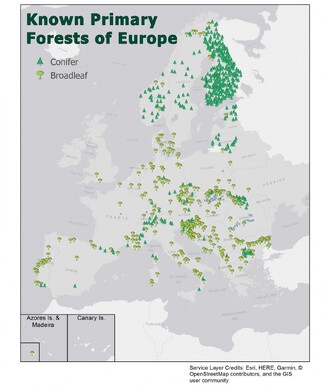 První ucelená mapa evropských pralesů. Mapa zachycuje 3,4 millionů akrů lesa v 34 evropských zemích.
