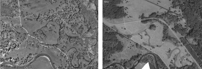 Výraznou změnu situace ukazuje porovnání stavu krajiny v r. 1938 (vlevo) a dnes (vpravo). Většina světlých lesů a solitérních stromů dávno zmizela, dnes je vždy zřejmé, kde začíná louka a končí les. Na strojově sečené louce nové stromy vyrostou jen v blízkosti jiných stromů, kam traktor se sekačkou nezajíždí. Staré solitéry tak dusí konkurence v lese a často i na louce.