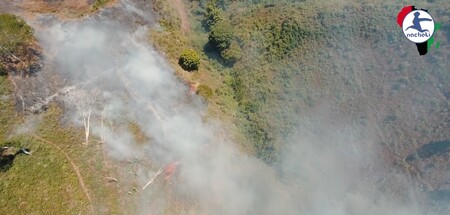 Středoafrické země Kongo a Angola jsou nyní postiženy větším počtem požárů než Brazílie.